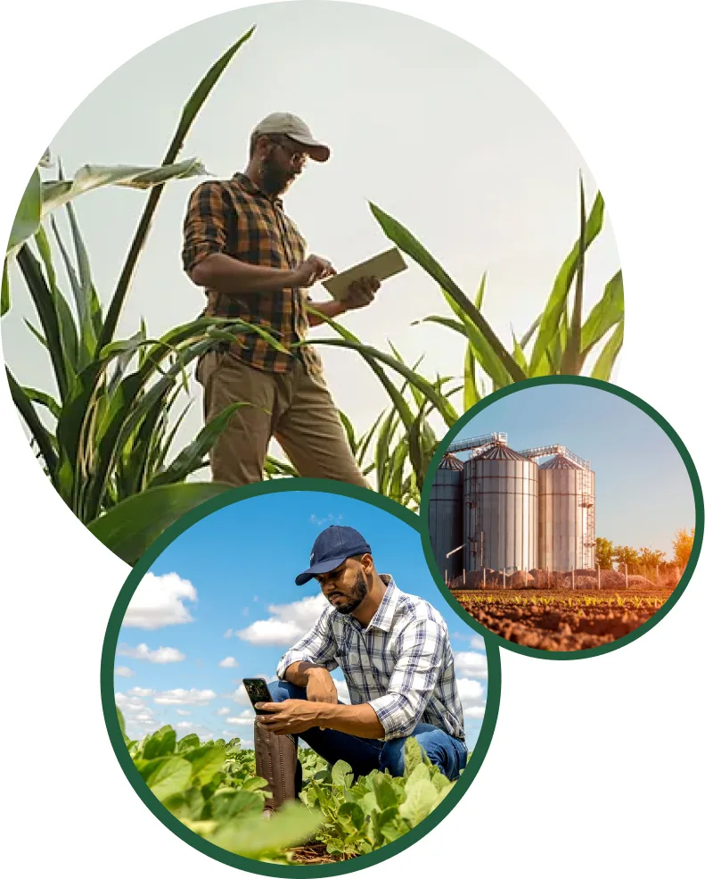 As melhores soluções para Regulação de Sinistros Agrícolas, Supervisão e Auditoria