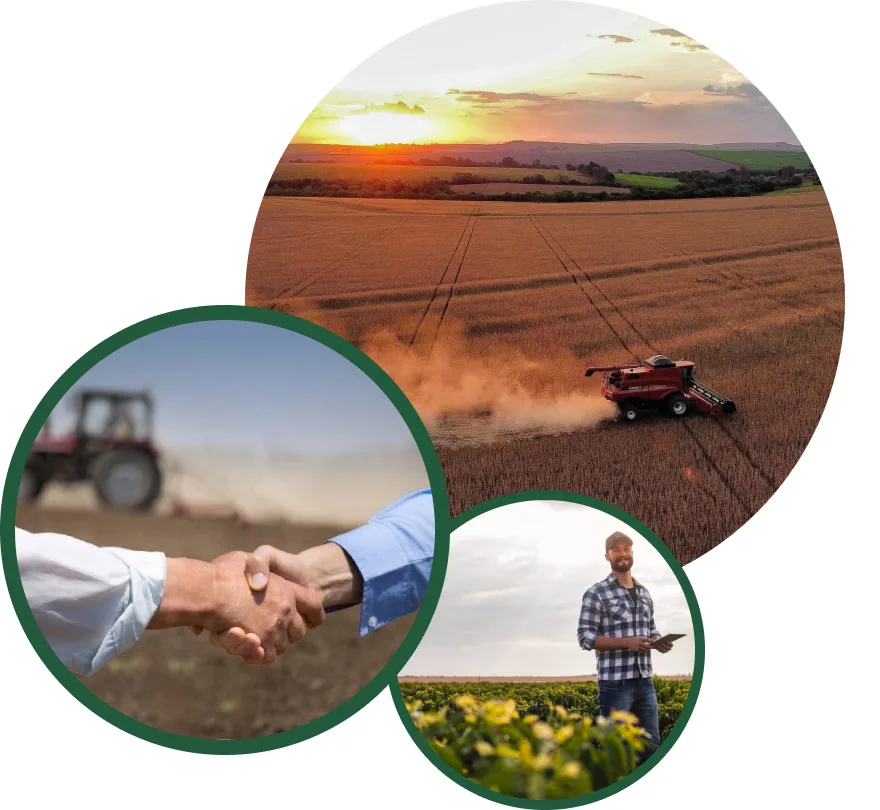 Sobre a FS Perícias